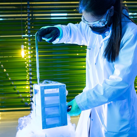 84f2afce-a6df-4389-82fe-1cef0d71bbfe